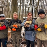 V brněnské zoo se narodila čtyřčata vlků hřivnatých