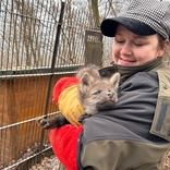 V brněnské zoo se narodila čtyřčata vlků hřivnatých