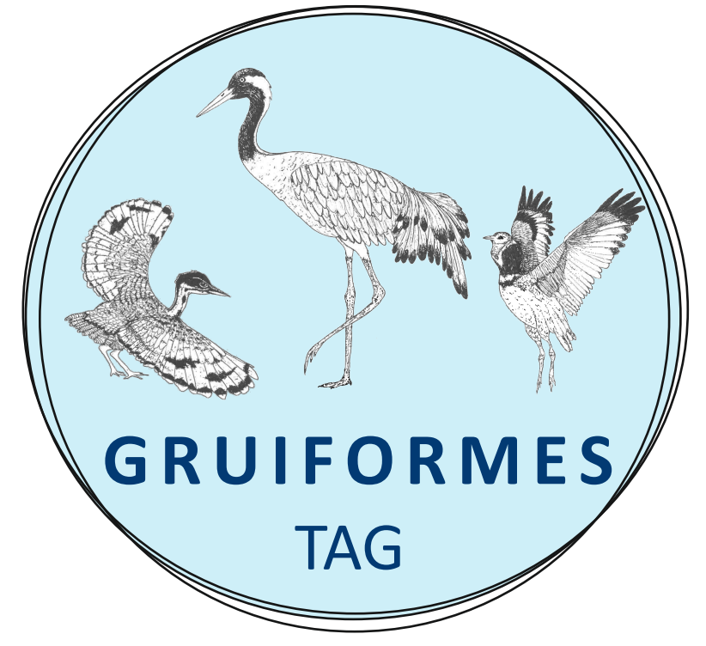 Bild1-Gruiformes TAG