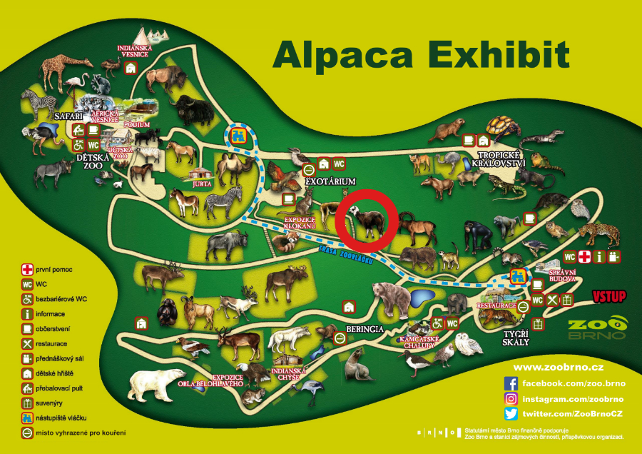 _alpaca exhibit_ok