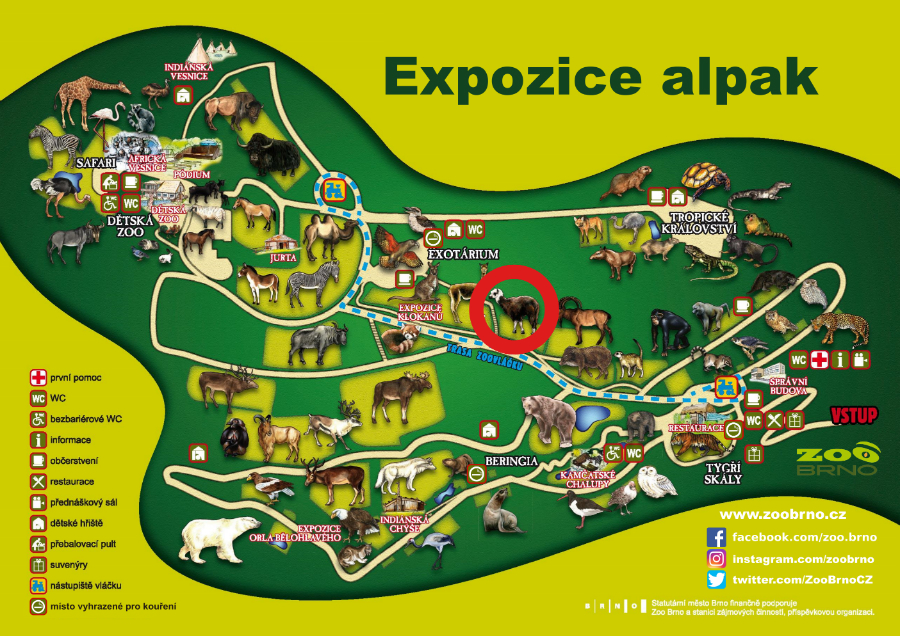 _expozice alpak_ok