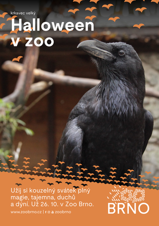 Halloween v zoo