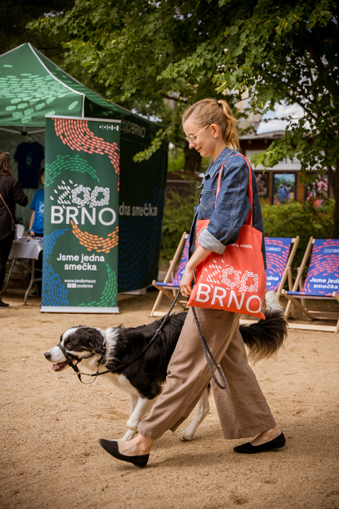 Jsme jedna smečka. Brněnská zoo představila novou vizuální identitu a ...